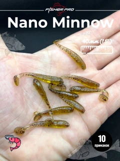 #241