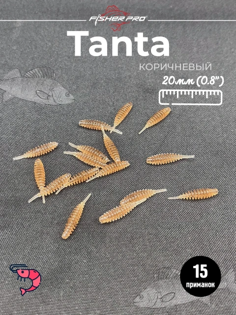 Tanta 0.8'' (20 мм), цвет: Коричневый