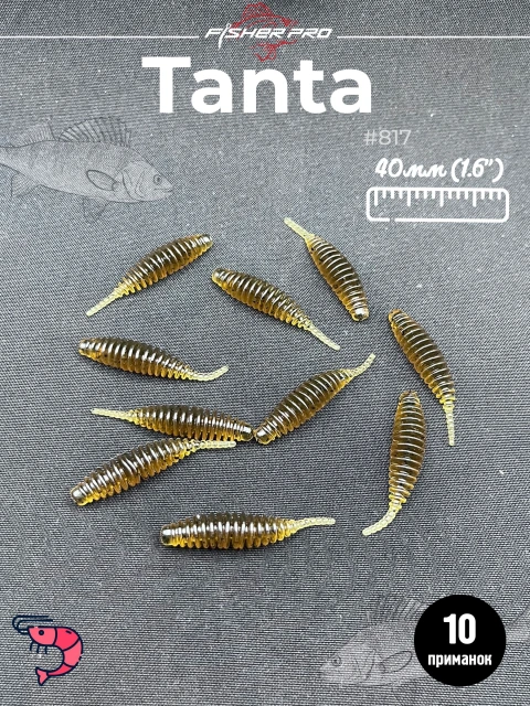 Tanta 1.6'' (40 мм), цвет: #871
