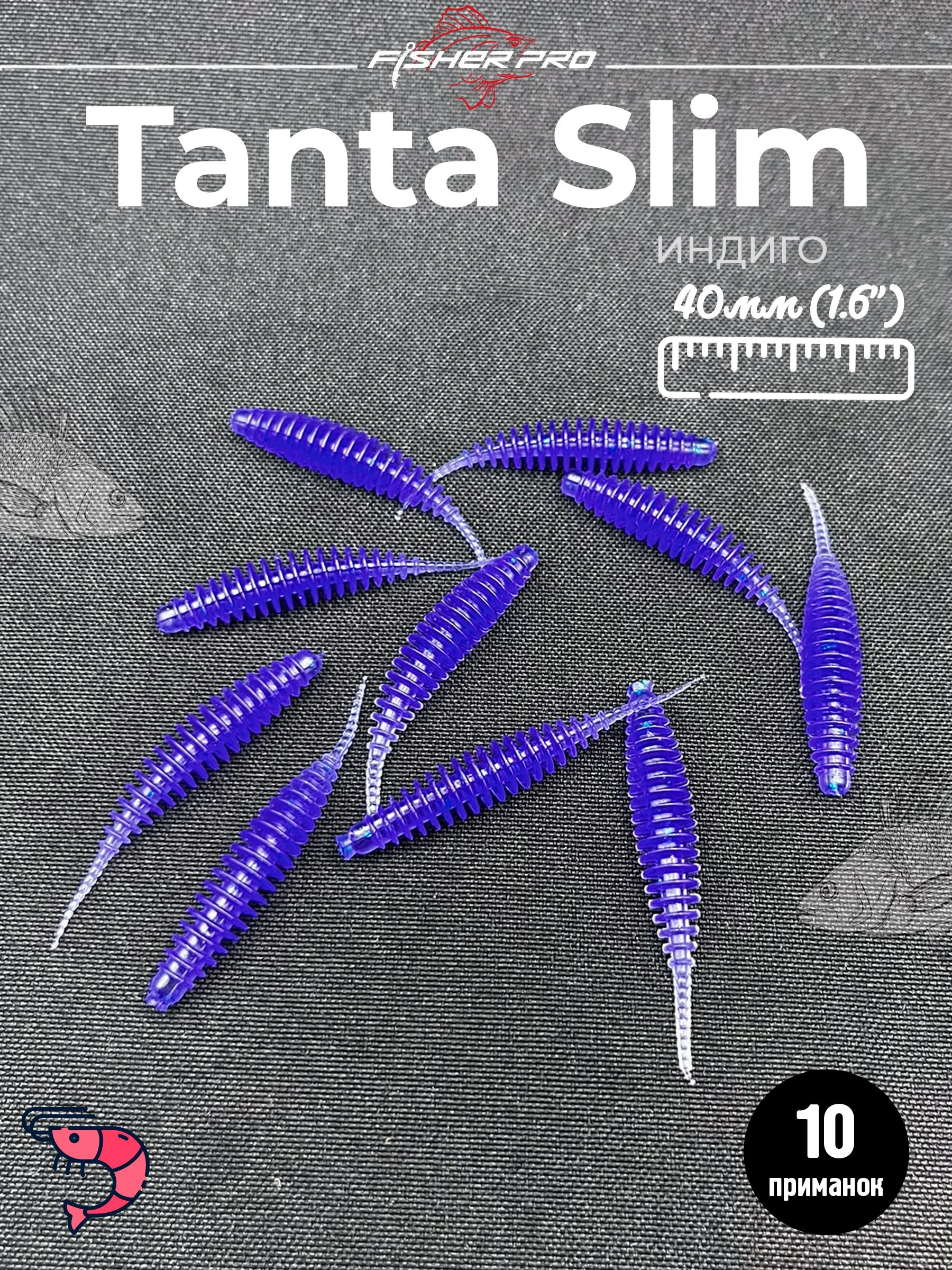 Tanta Slim 1.6'' (40 мм), цвет: Индиго