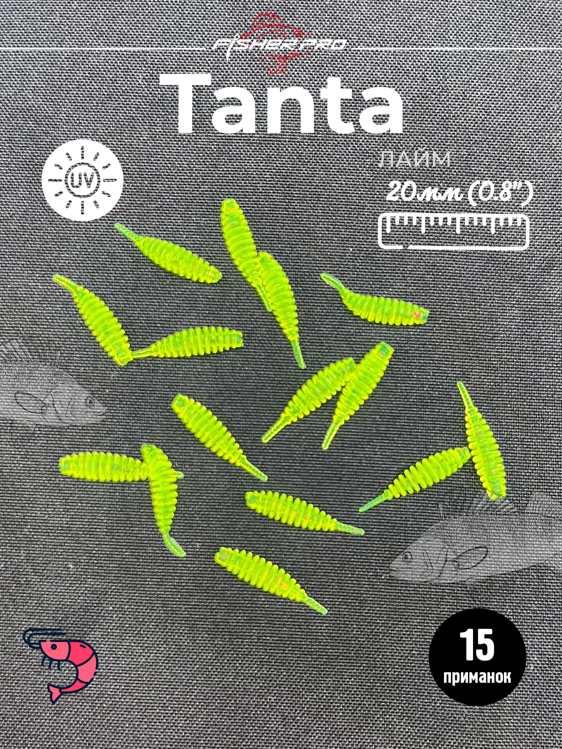 Tanta 0.8'' (20 мм), цвет: Лайм