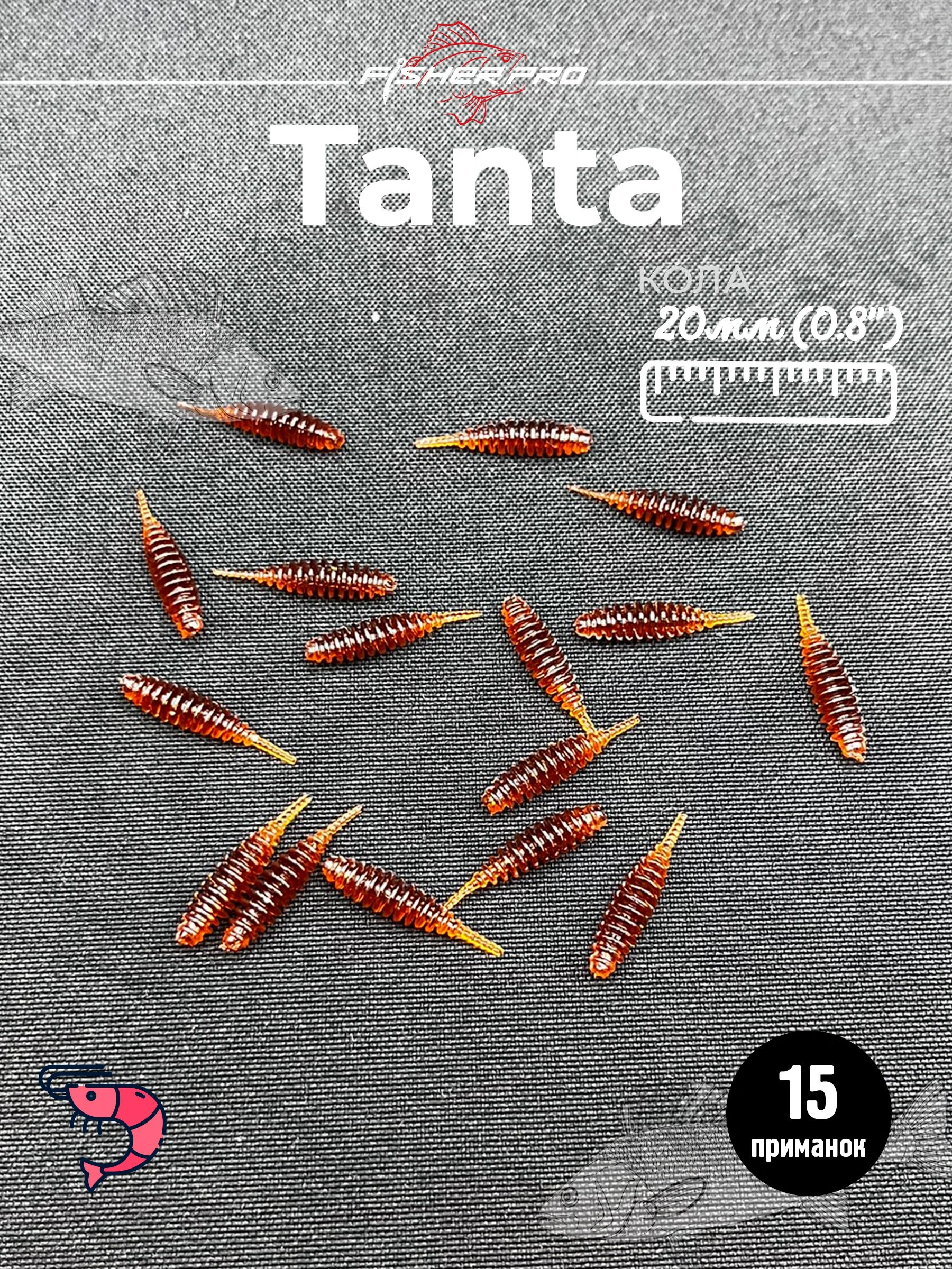 Tanta 0.8'' (20 мм), цвет: Кола