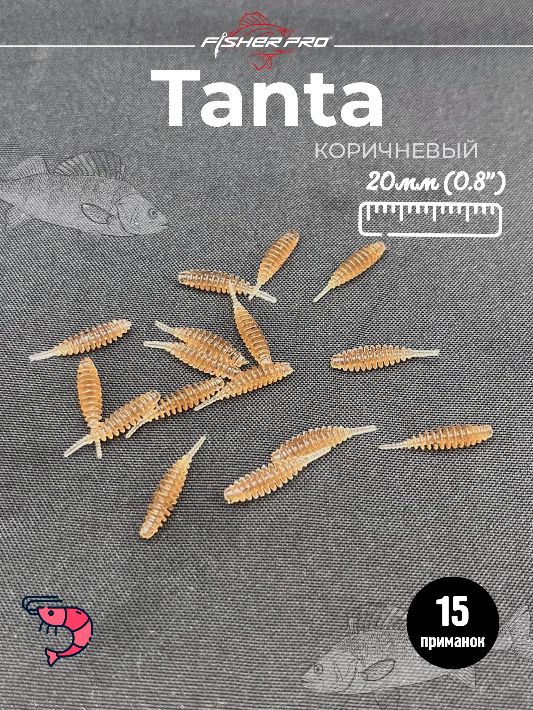 Tanta 0.8'' (20 мм), цвет: Коричневый