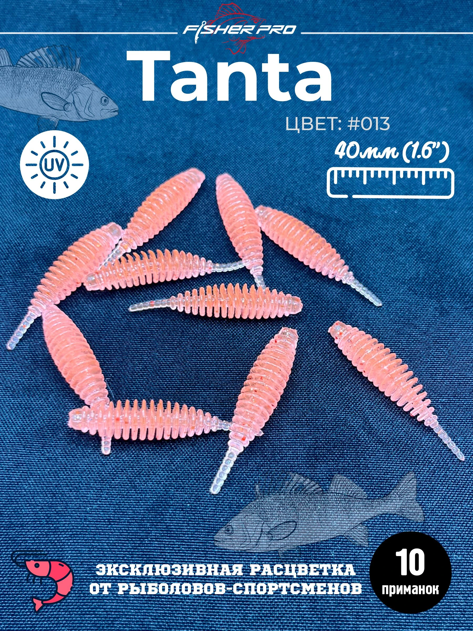 Tanta 1.6'' (40 мм), цвет: #013