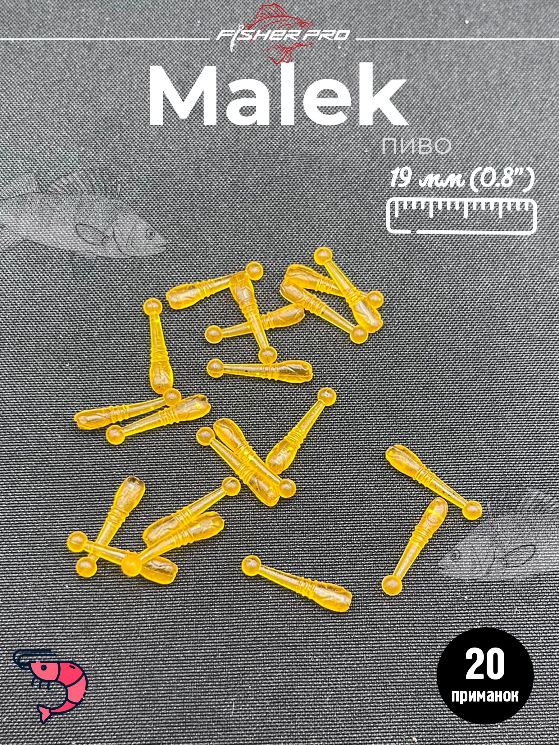 Malek 0.8" (19 мм), цвет: Пиво