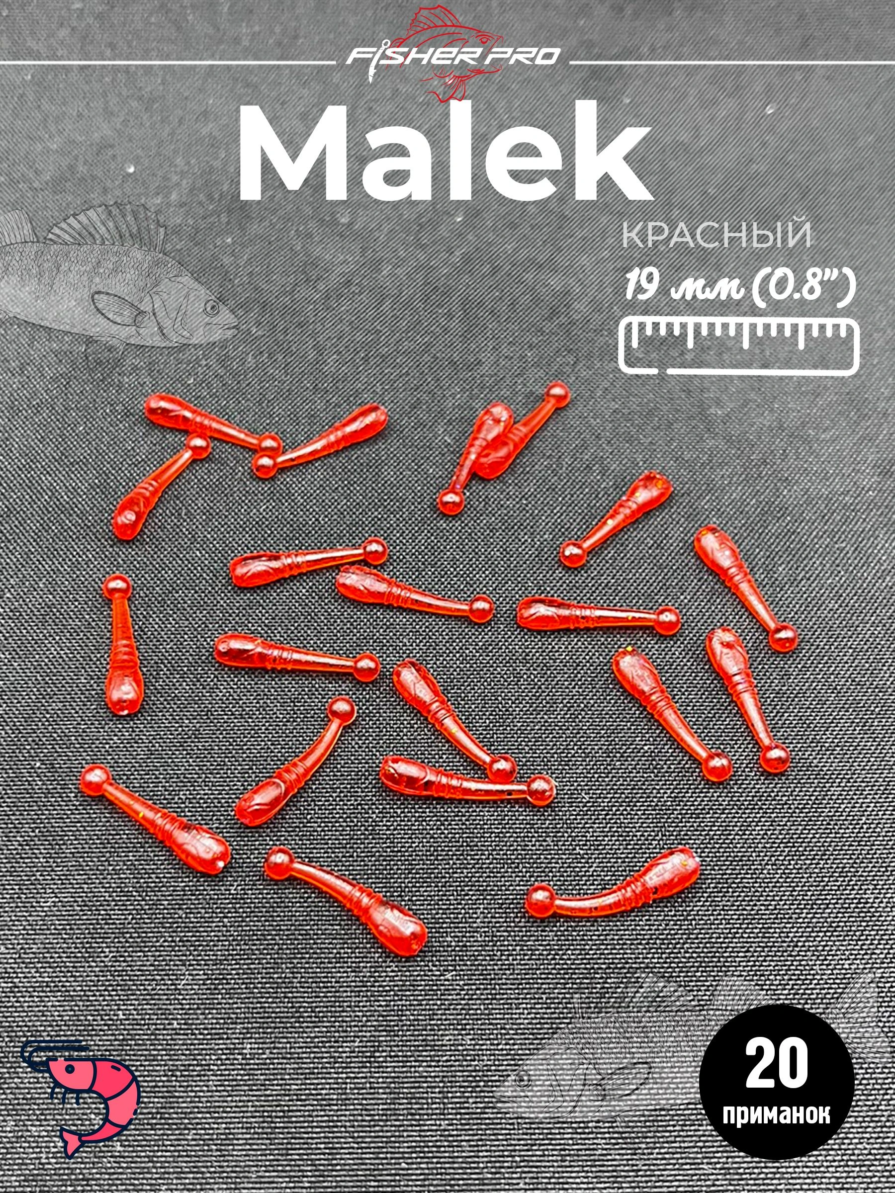 Malek 0.8" (19 мм), цвет: Красный