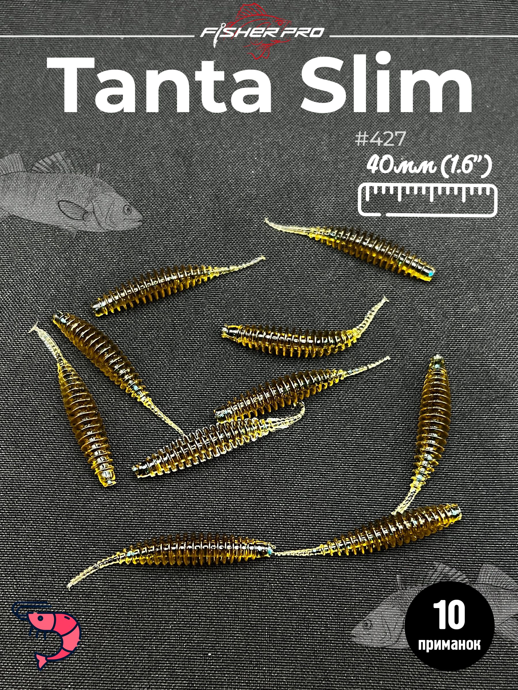 Tanta Slim 1.6'' (40 мм), цвет: #427
