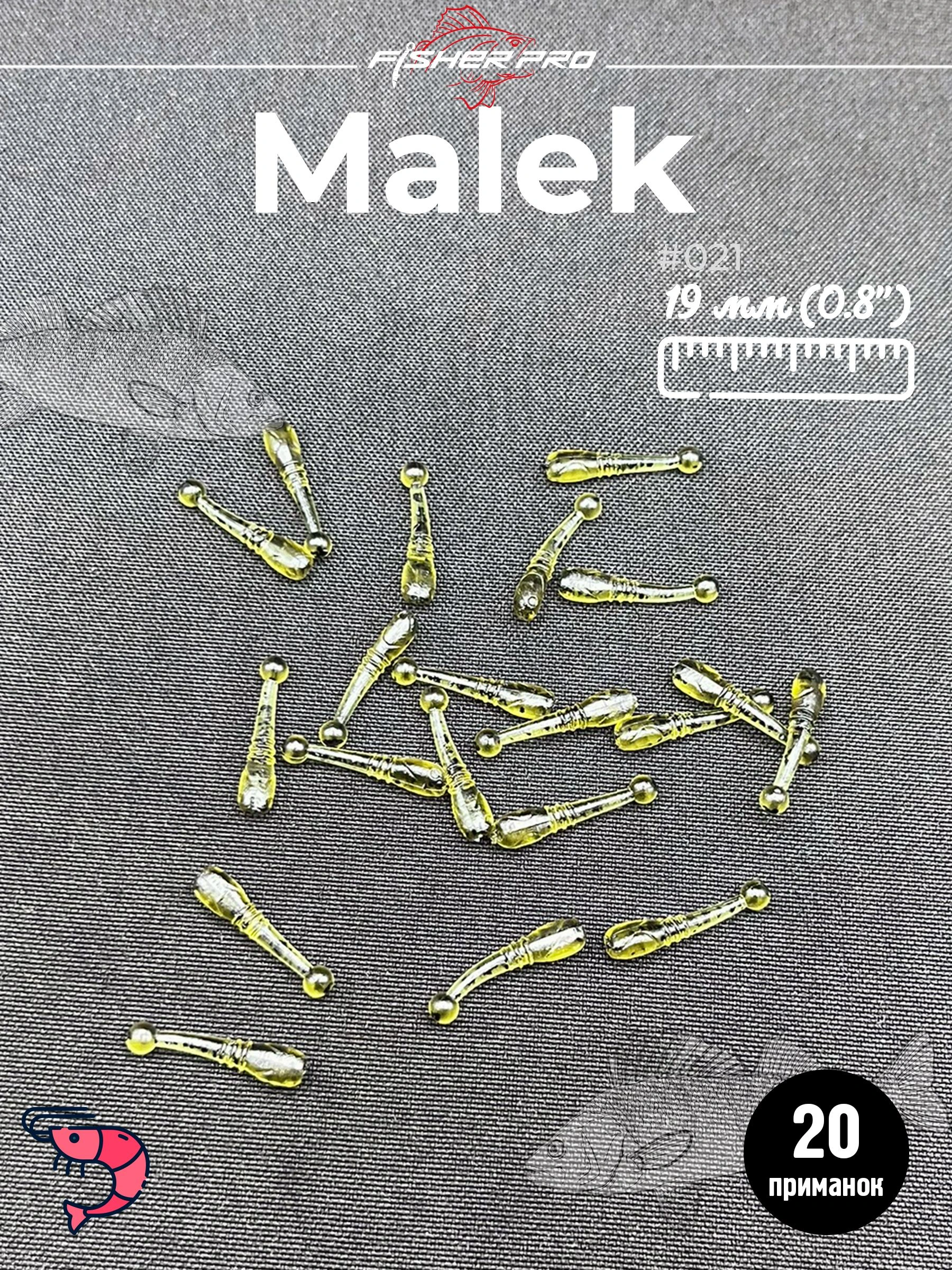 Malek 0.8" (19 мм), цвет: #021