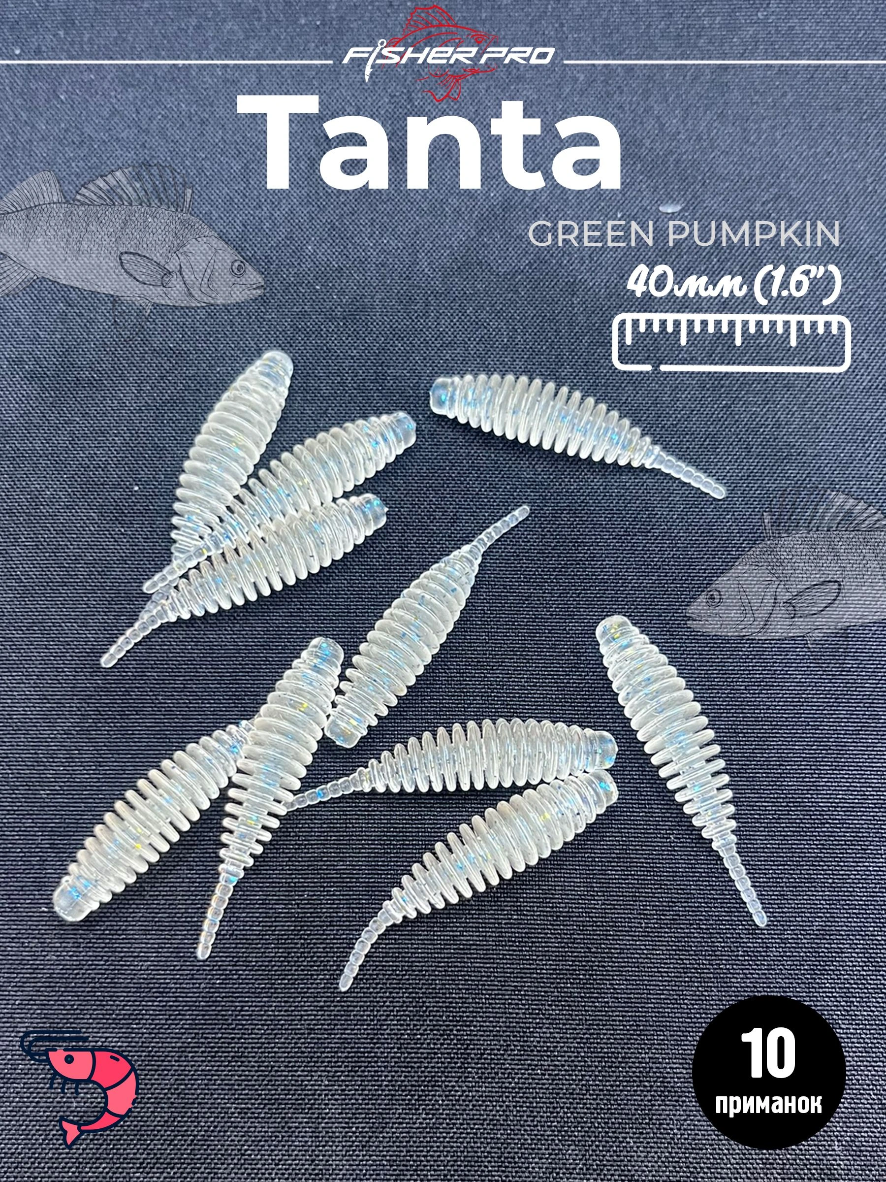 Tanta 1.6'' (40 мм), цвет: Casper